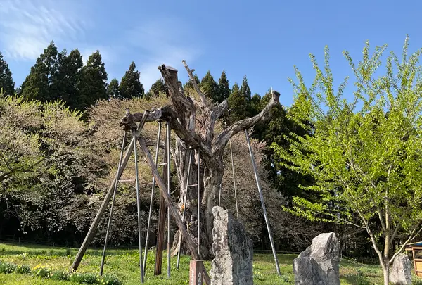 釜の越農村公園の写真・動画_image_682360