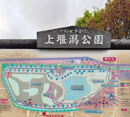 上堰潟公園の写真・動画_image_682445