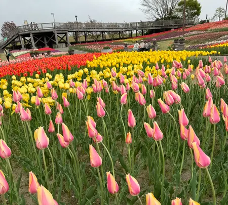 道の駅 新潟ふるさと村の写真・動画_image_682450
