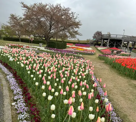 道の駅 新潟ふるさと村の写真・動画_image_682451