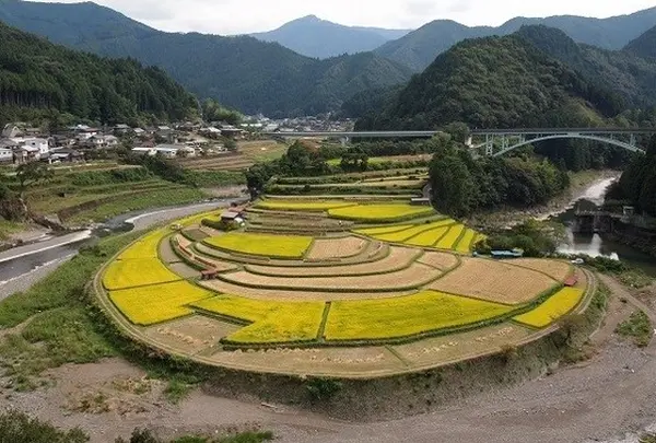 四季折々の風景