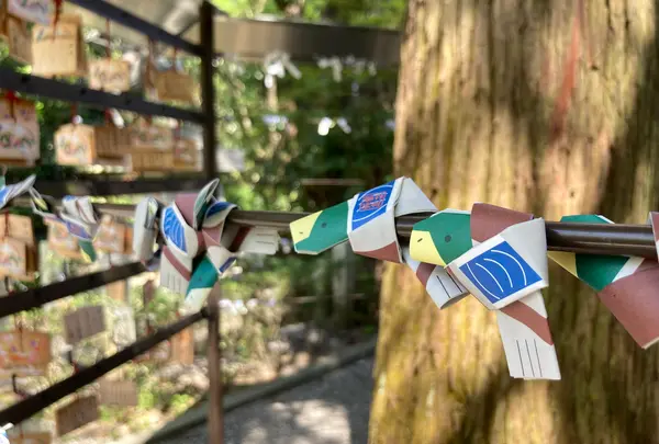 高鴨神社の写真・動画_image_683920