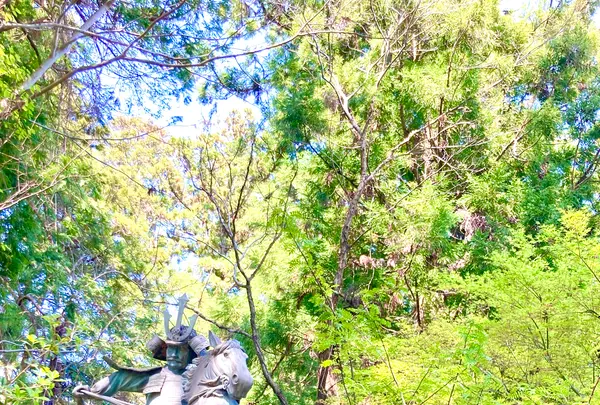 高鴨神社の写真・動画_image_683925