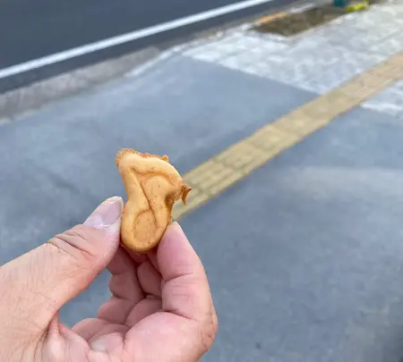 プラザハマダ、cafe labo. HAMADAの写真・動画_image_685737