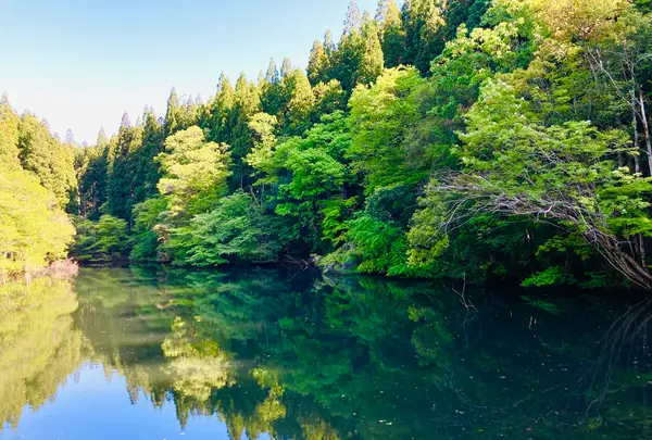 琴滝の写真・動画_image_685988