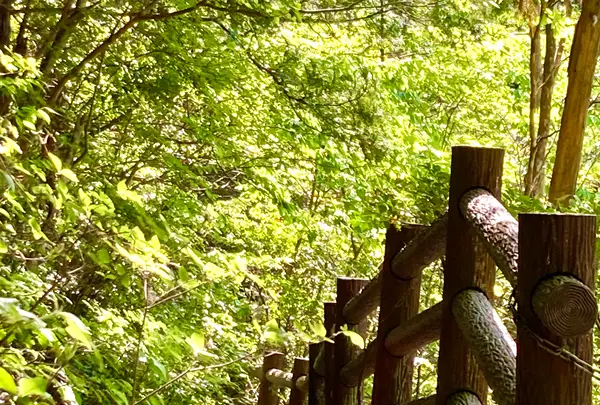 琴滝の写真・動画_image_685990