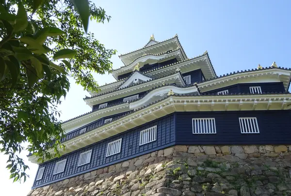 岡山城の写真・動画_image_687417