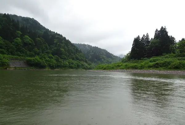 最上川舟下り義経ロマン観光 仙人堂の渡し 高屋乗船場の写真・動画_image_689598