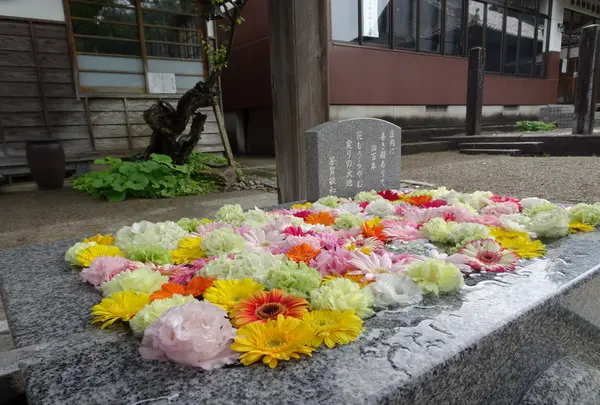 荘内神社の写真・動画_image_689620