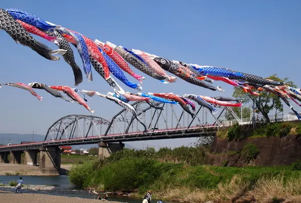 九度山町の河川敷