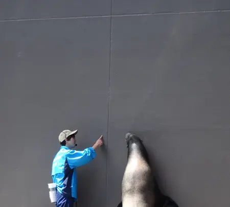 鶴岡市立加茂水族館（クラゲドリーム館）の写真・動画_image_689855
