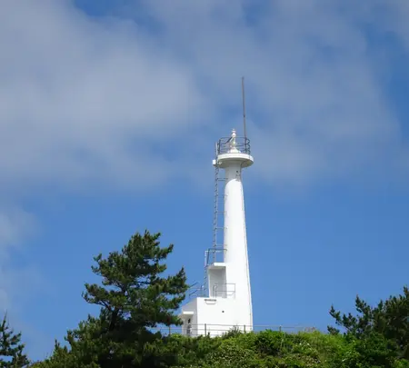 鶴岡市立加茂水族館（クラゲドリーム館）の写真・動画_image_689862