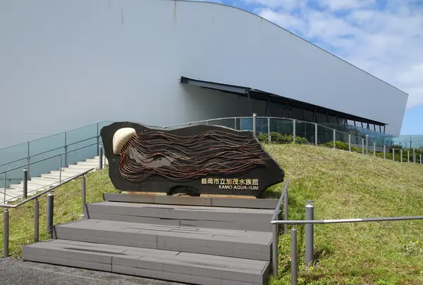 鶴岡市立加茂水族館（クラゲドリーム館）の写真・動画_image_689866