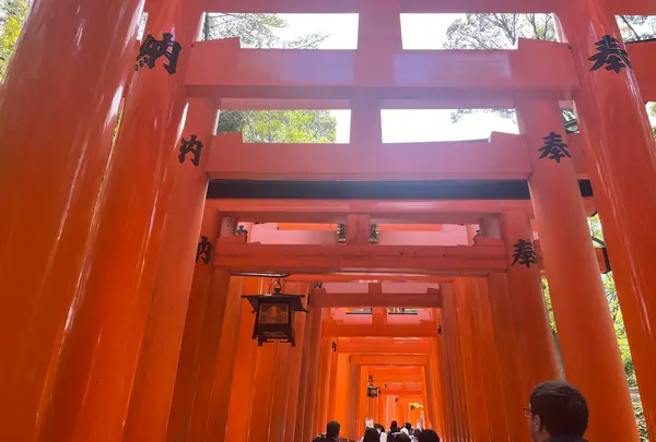 伏見稲荷大社の写真・動画_image_690256