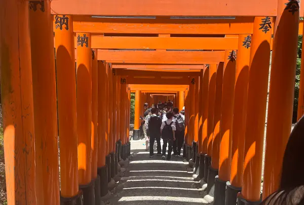 伏見稲荷大社の写真・動画_image_690257