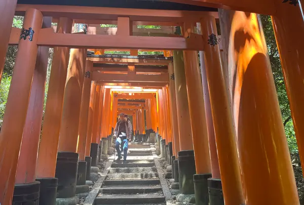 伏見稲荷大社の写真・動画_image_690258