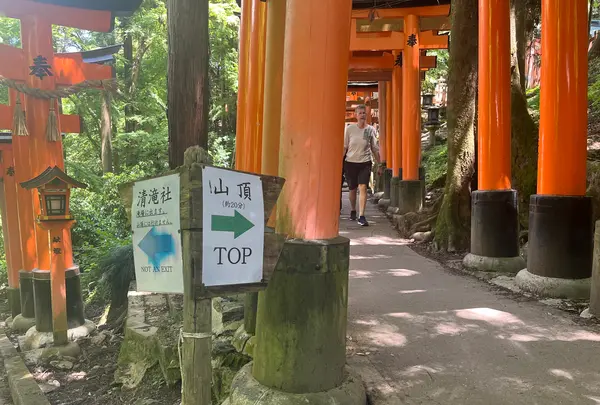 伏見稲荷大社の写真・動画_image_690263