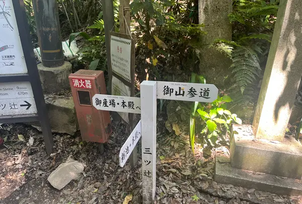 伏見稲荷大社の写真・動画_image_690266