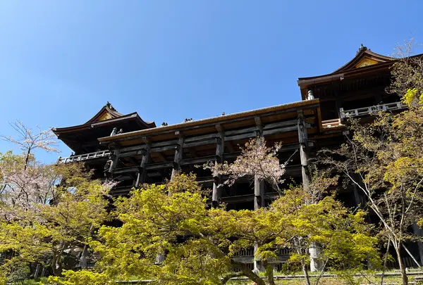 清水寺の写真・動画_image_690513