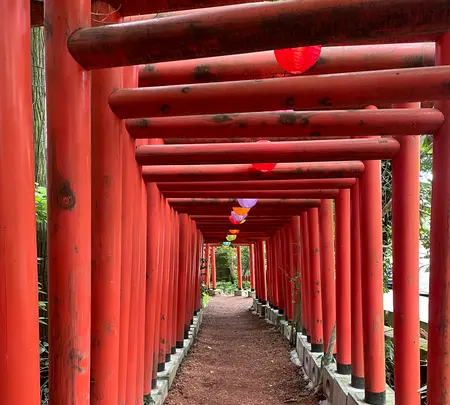 石浦神社の写真・動画_image_691037