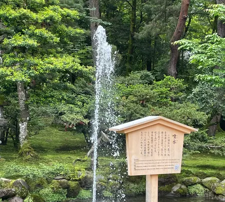兼六園の写真・動画_image_691039