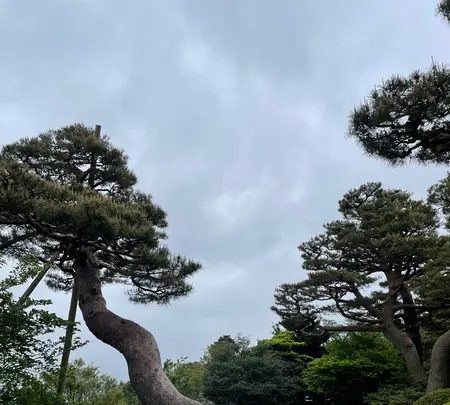 兼六園の写真・動画_image_691040