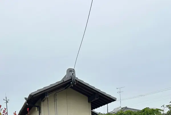 山越うどんの写真・動画_image_691050