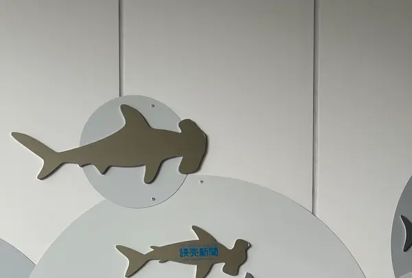 四国水族館の写真・動画_image_691055