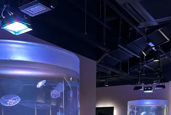 四国水族館の写真・動画_image_691057