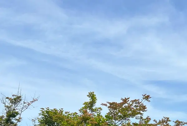 大塚国際美術館の写真・動画_image_691074