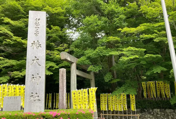 椿大神社の写真・動画_image_691149
