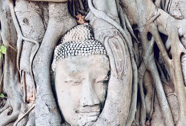 Wat Mahathat（ワット・マハタート）の写真・動画_image_692462