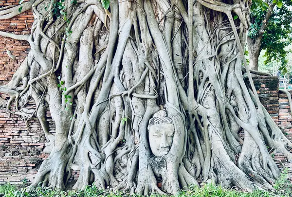 Wat Mahathat（ワット・マハタート）の写真・動画_image_692464