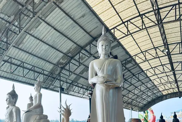 Wat Saman Rattanaram（ワット･サマーン･ラッタナーラーム ／ピンクガネーシャ） の写真・動画_image_692492