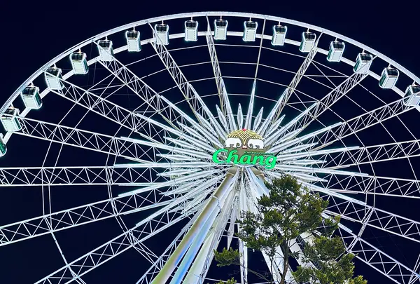 アジアティークの写真・動画_image_692643