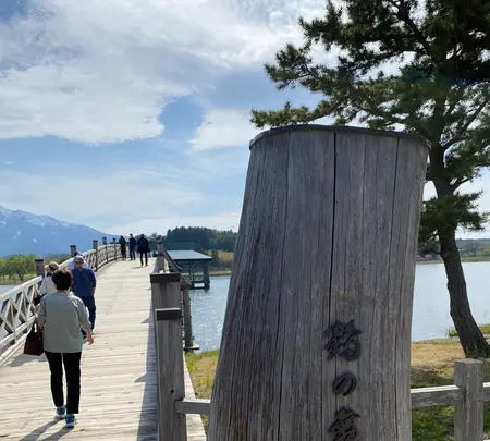 鶴の舞橋の写真・動画_image_692868