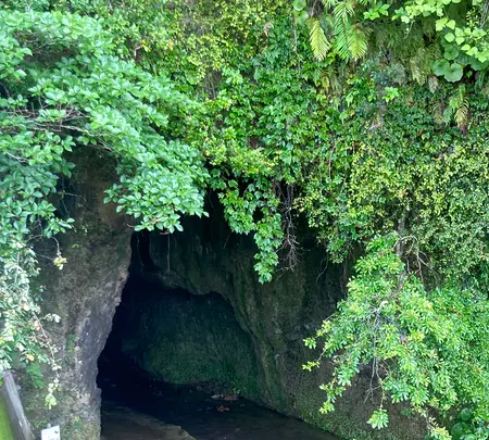 伊尾木洞の写真・動画_image_695325