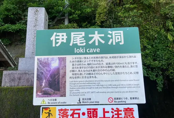伊尾木洞の写真・動画_image_695326