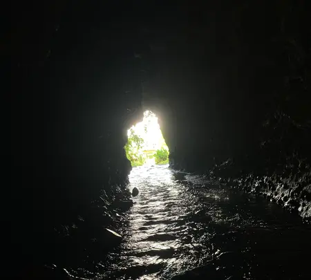 伊尾木洞の写真・動画_image_695331