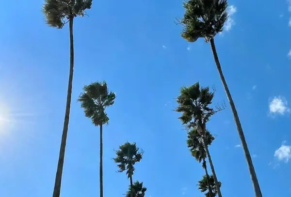 手結港可動橋展望台の写真・動画_image_695403