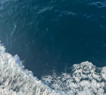 東京湾フェリー久里浜港の写真・動画_image_695771