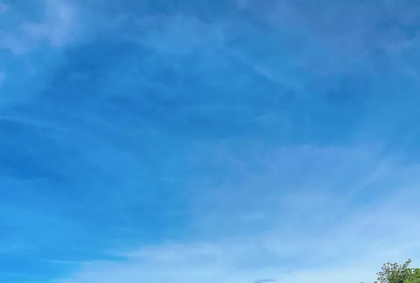 伊尾木洞の写真・動画_image_695869