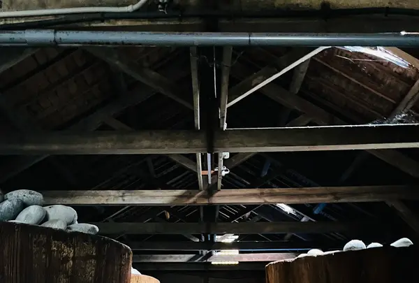 はと屋の写真・動画_image_696668