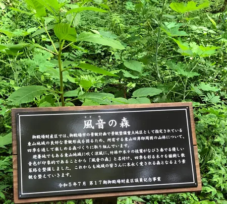 東山旧岸邸の写真・動画_image_697633