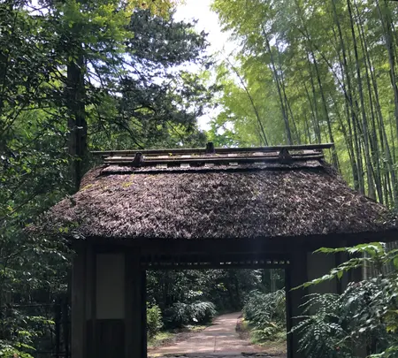 東山旧岸邸の写真・動画_image_697634