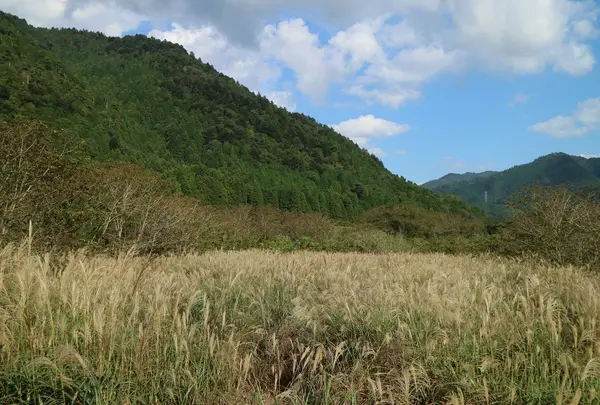 長除橋の写真・動画_image_697810