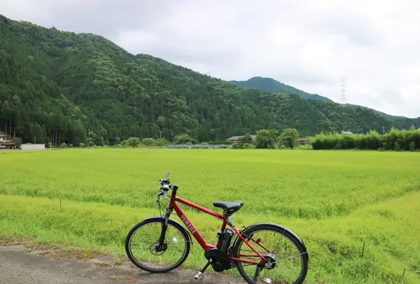 長除橋の写真・動画_image_697811