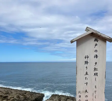 鵜戸神宮の写真・動画_image_698326
