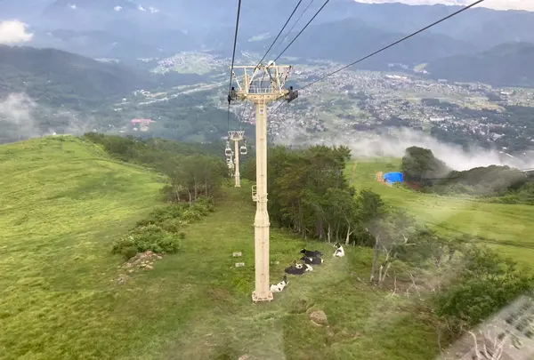 白馬村の写真・動画_image_699483