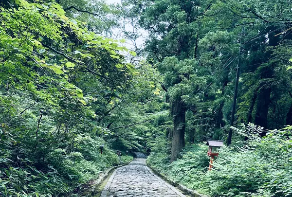 石畳の参道の写真・動画_image_699635